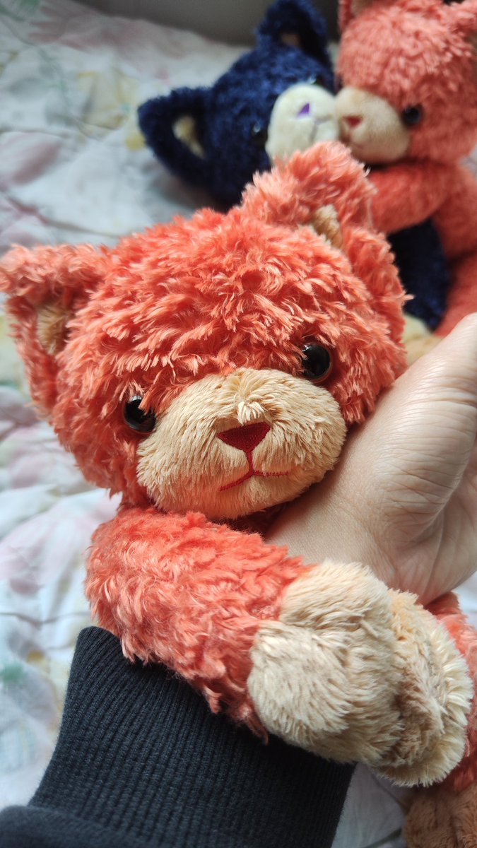 🍎🍅🍎🍛kai@ スタトレ 2日も参戦🍛♪♬ tweet media