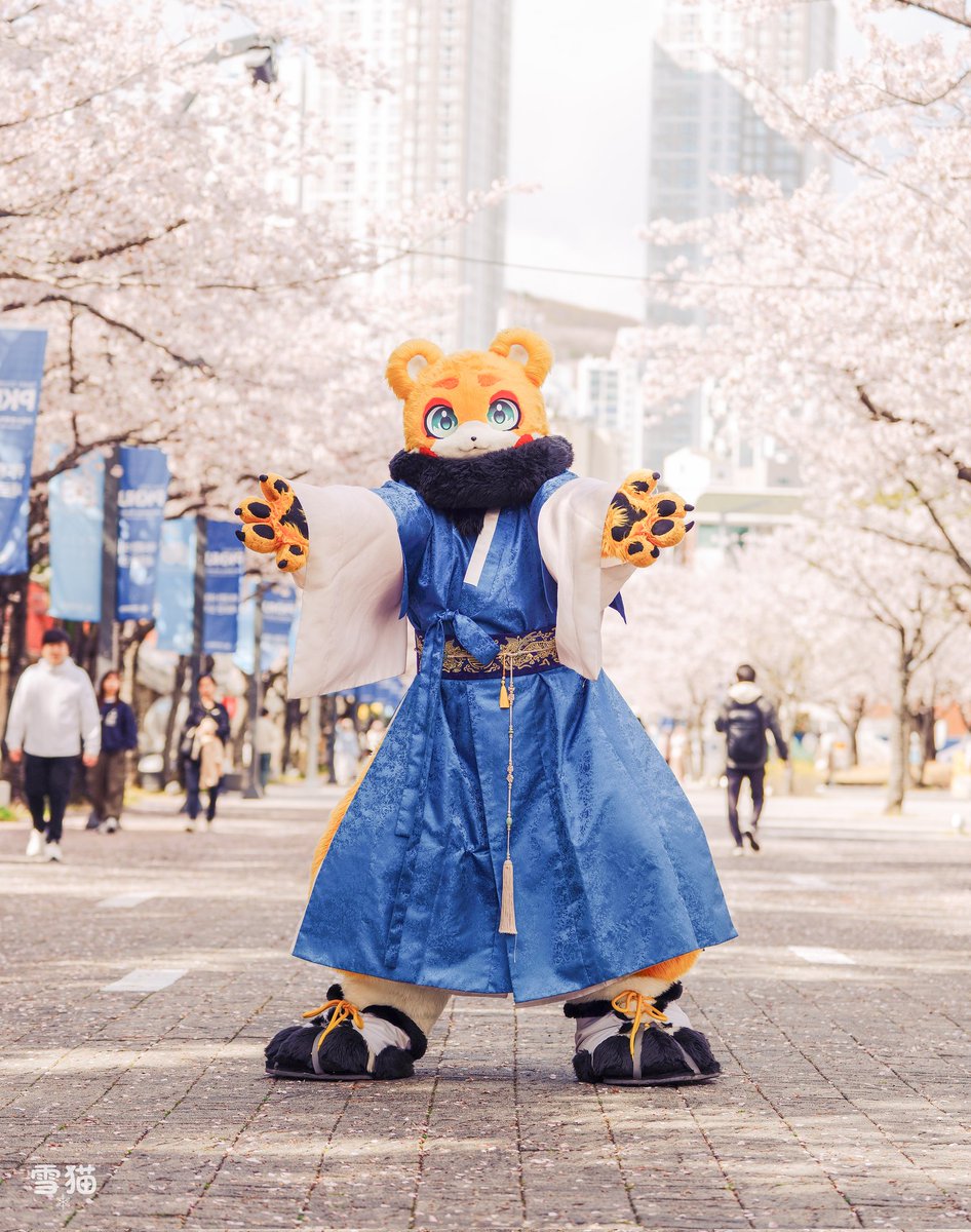 나무나 tweet media
