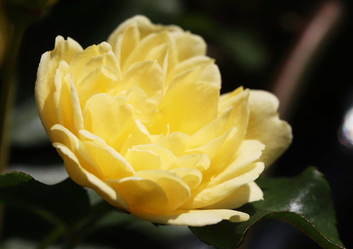 片柳弘史 tweet media