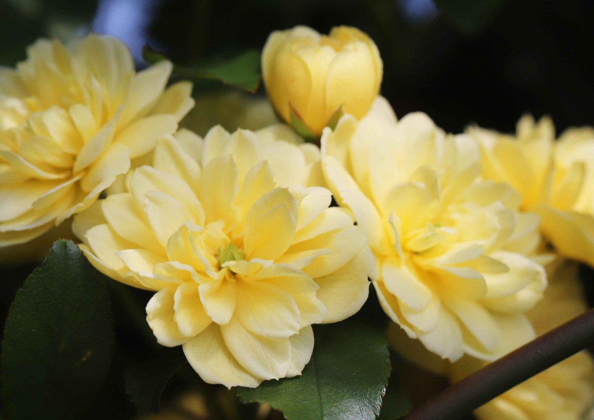 片柳弘史 tweet media