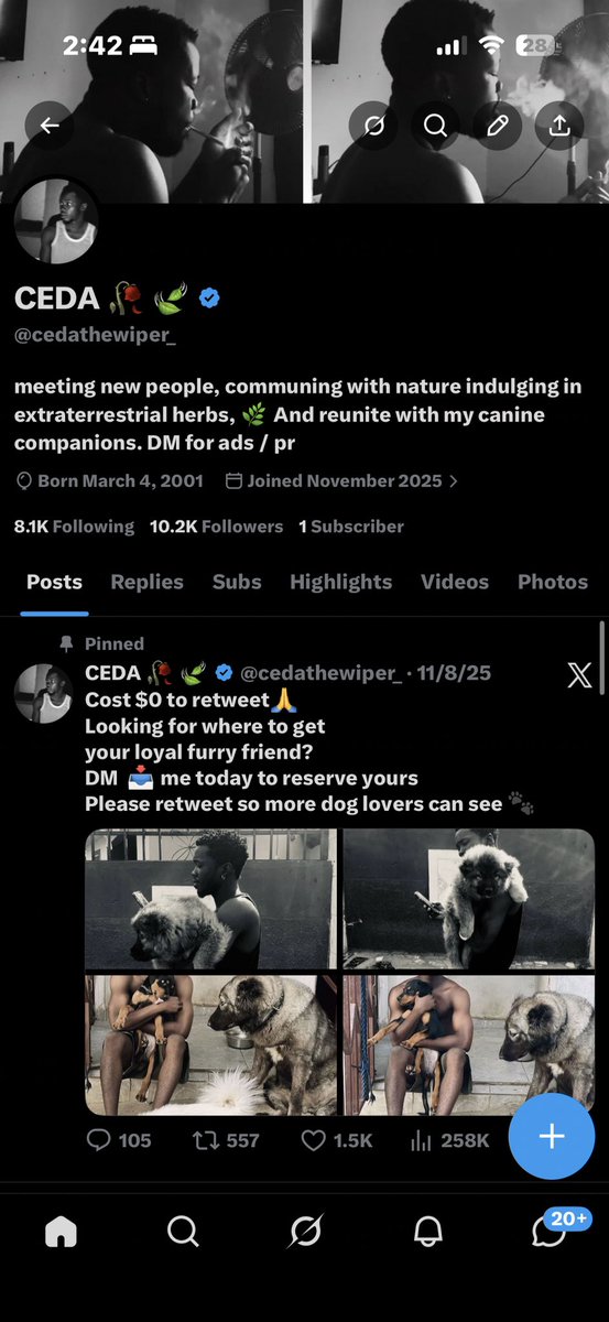 CEDA 🥀 🍃 tweet media