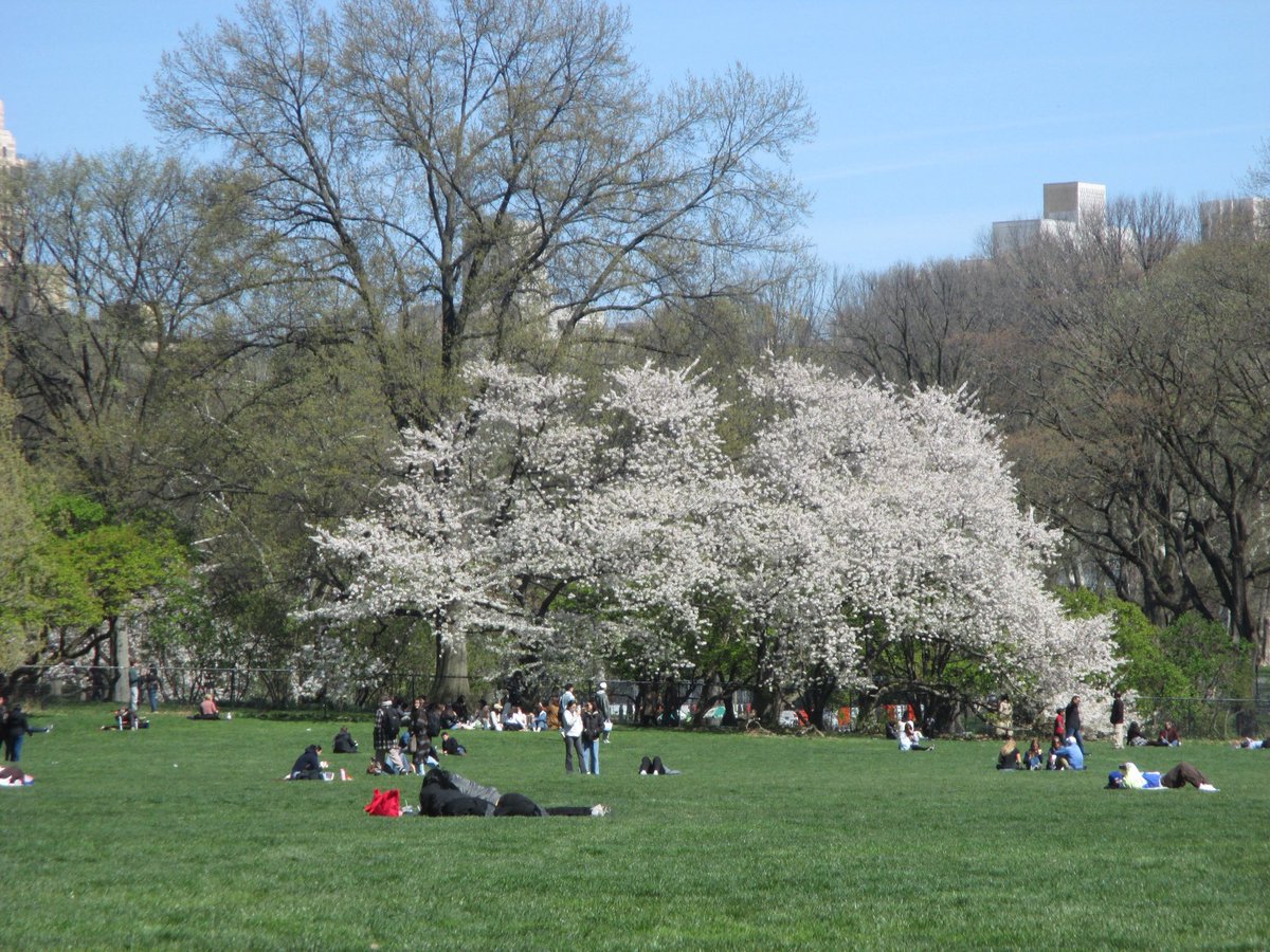 미니연 tweet media