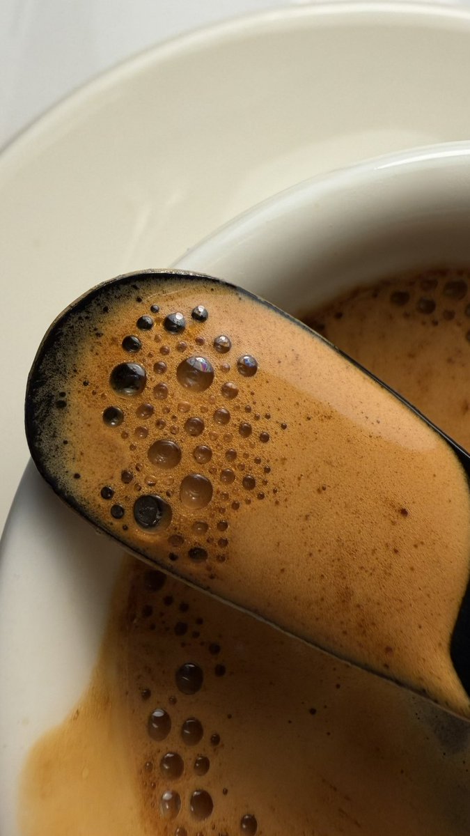 صقُر tweet media