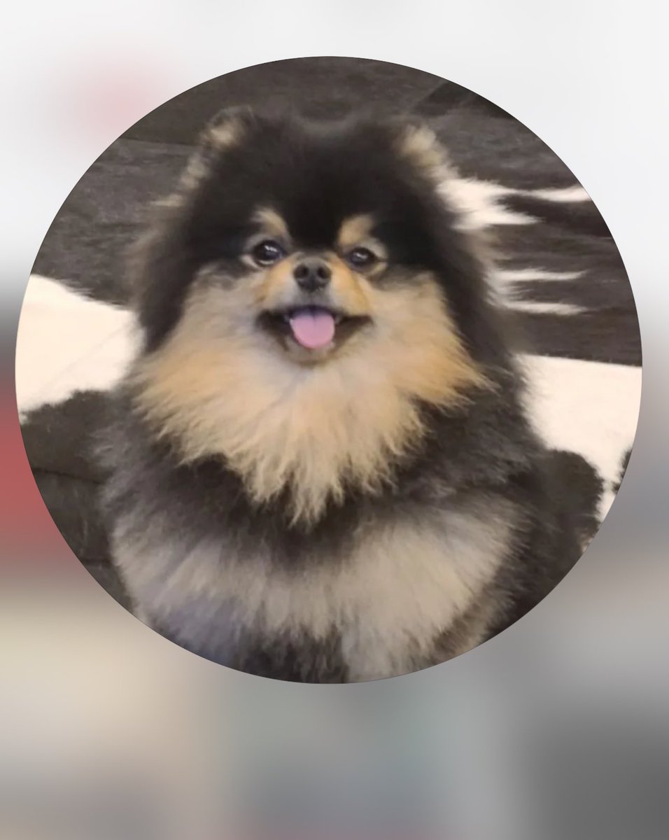 TAE GUIDE tweet media