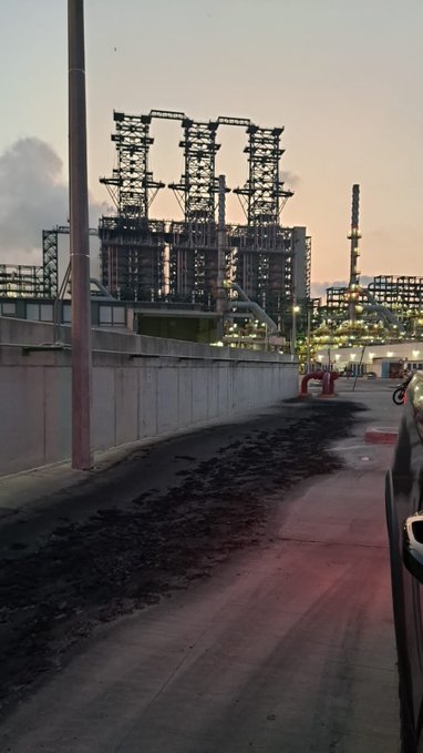 Reporte Maya tweet media