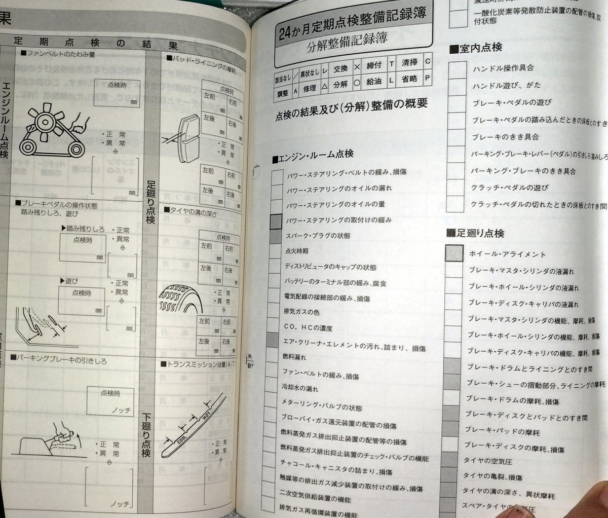 Maejima' Gammer's TV ,American Beauty office Lady. tweet media