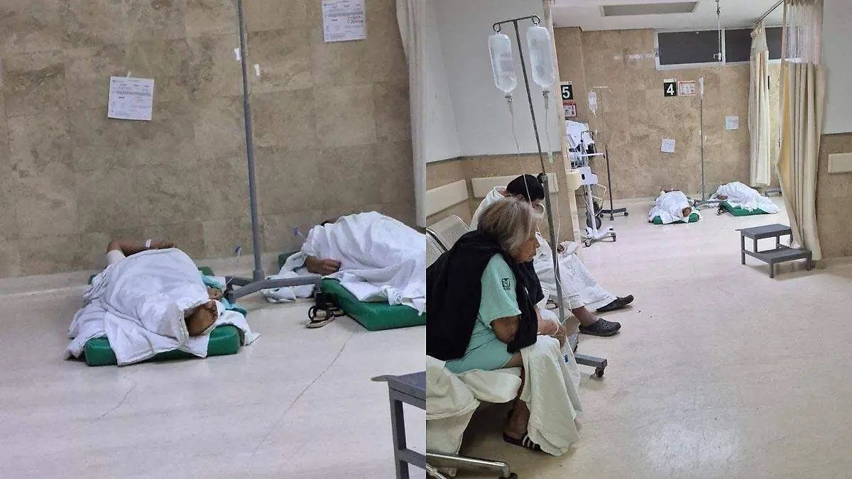 Ash 😮💨🍃 tweet media