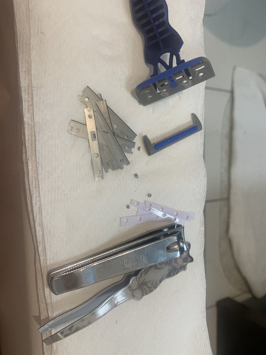 kittygirl of shedtwt tweet media