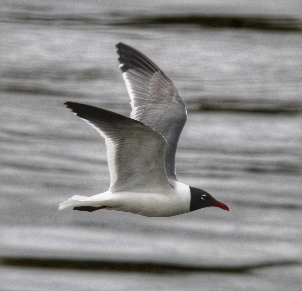 sjm8, PA-C tweet media