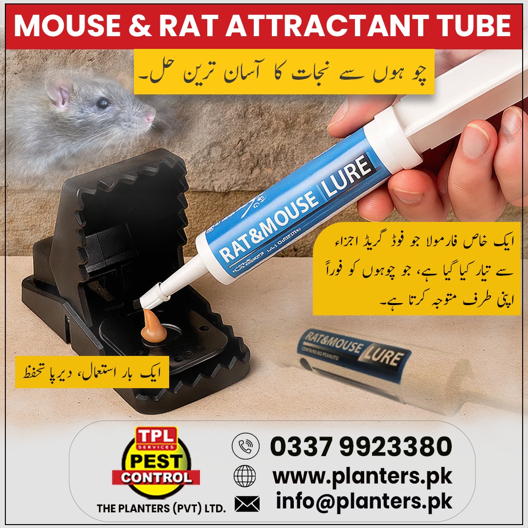 TPLPestControl's tweet photo. Protect your space with our advanced Mouse & Rat Attractant Tube
Designed with a powerful food-grade formula that quickly lures rodents into traps for effective control.
✔ Fast action
✔ Simple application
✔ Long-lasting results
#PestControl #RatControl #MouseControl #CleanHome https://t.co/pc8MqwkE6n