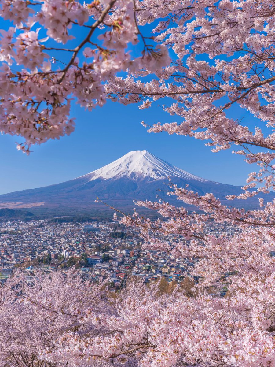 World Best tweet media