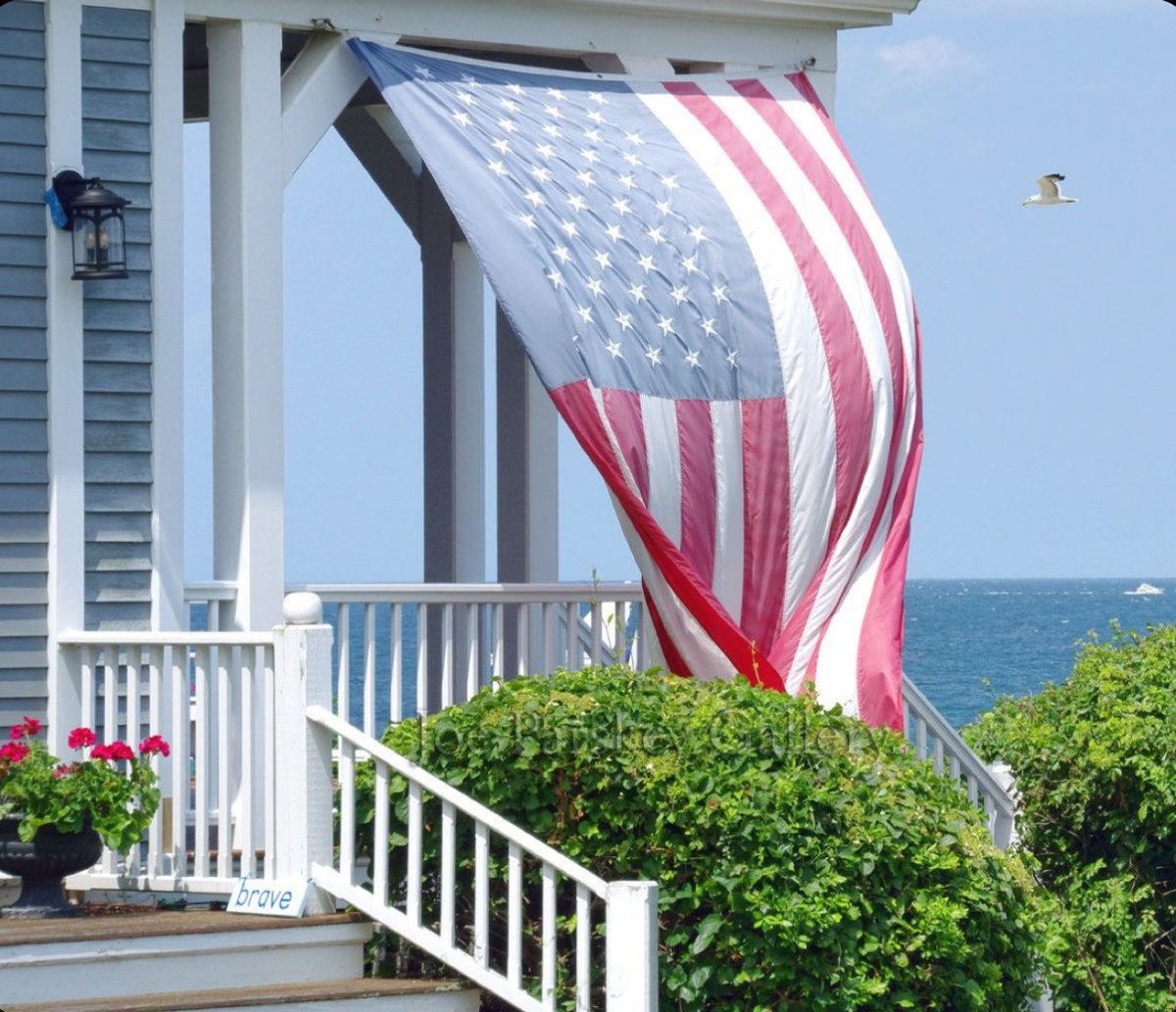 Elle Lookbook tweet media