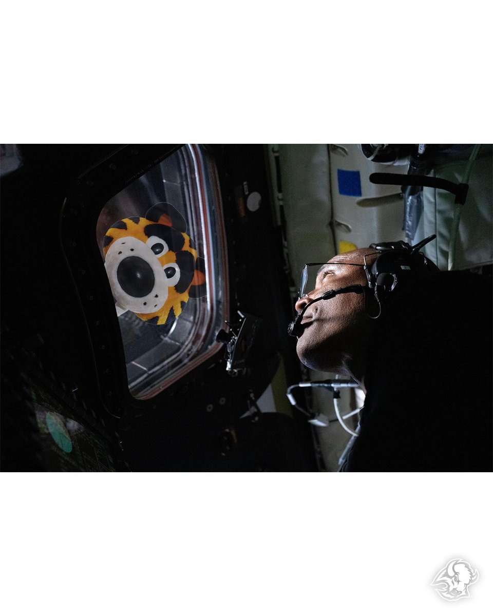 x - Buffalo Sabres tweet media