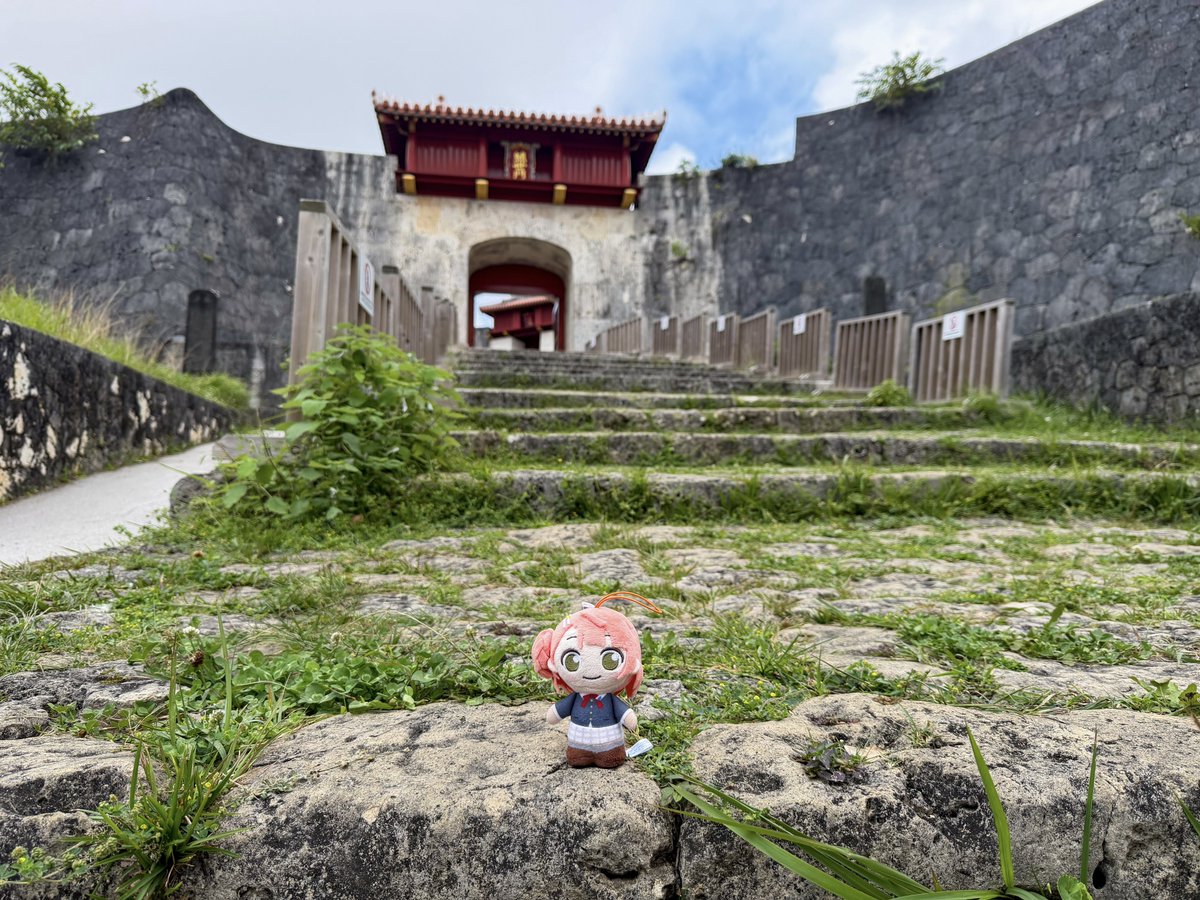 ゆうひちゃん tweet media