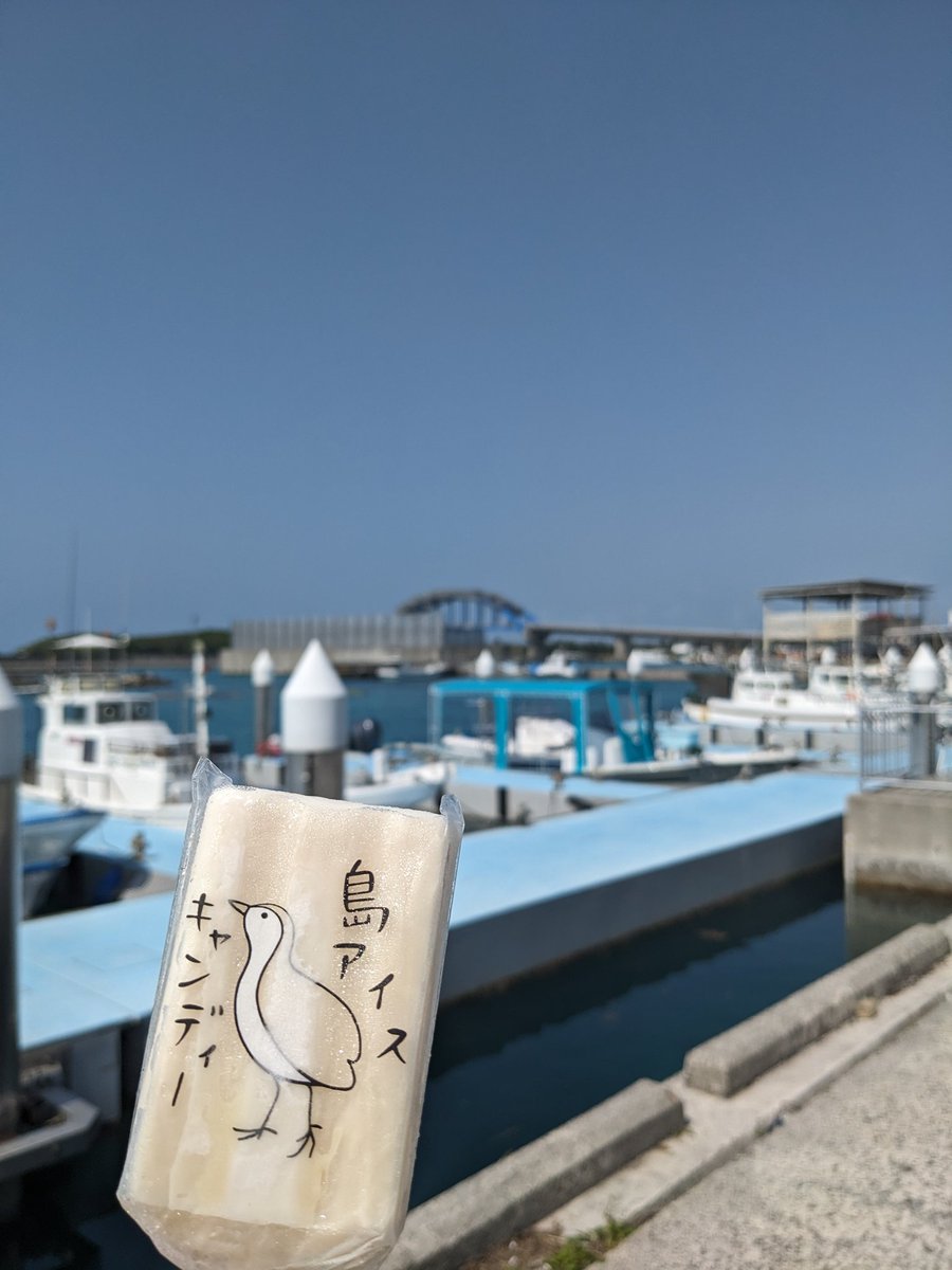 砂肝@石垣島生活4年目 tweet media