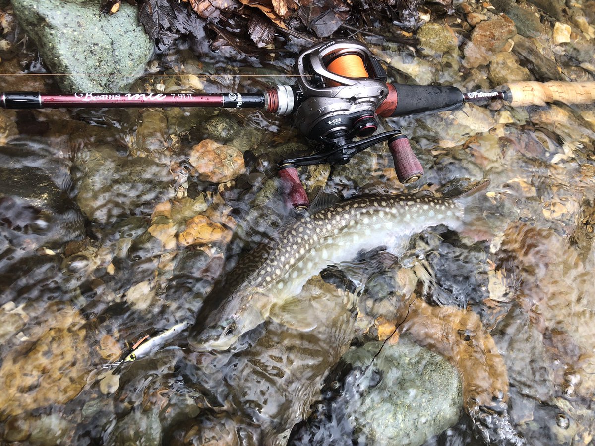 zisakukebari59's tweet image. モンエナで気分アゲアゲからのホームでちょい釣り🎣大きくはないけどコンディション抜群の筋肉質なアメマスがロッドを絞り込んでくれました♪数匹釣って満足したので場所移動〜🚙💨
 #北海道 #渓流ベイトフィネス #Fishman #Beams #inte79UL #SHIMANO #Scorpion #BFS #アメマス