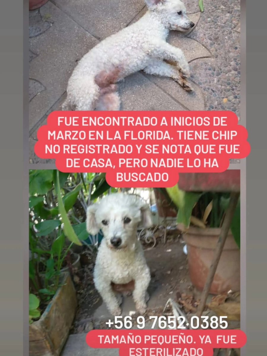 LORE TIN tweet media