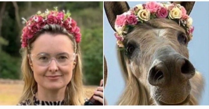 Sofia ❤️🚩 tweet media