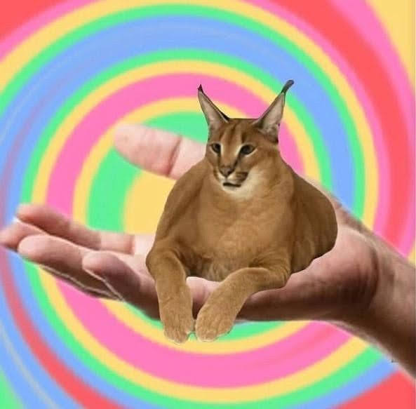 Hay algun juego estilo slime rancher asi gratuito y para telefonos? O al menos en roblox?

Genuinamente mi PC apenas puede con su vida y mi celular es usado asi que a veces... Se pone lento