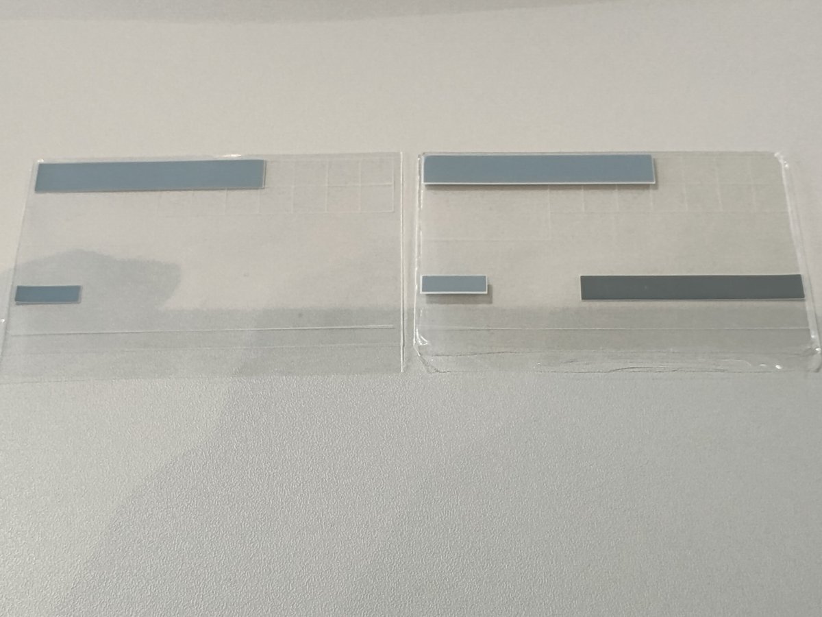 ぽてぃろー🐩 tweet media