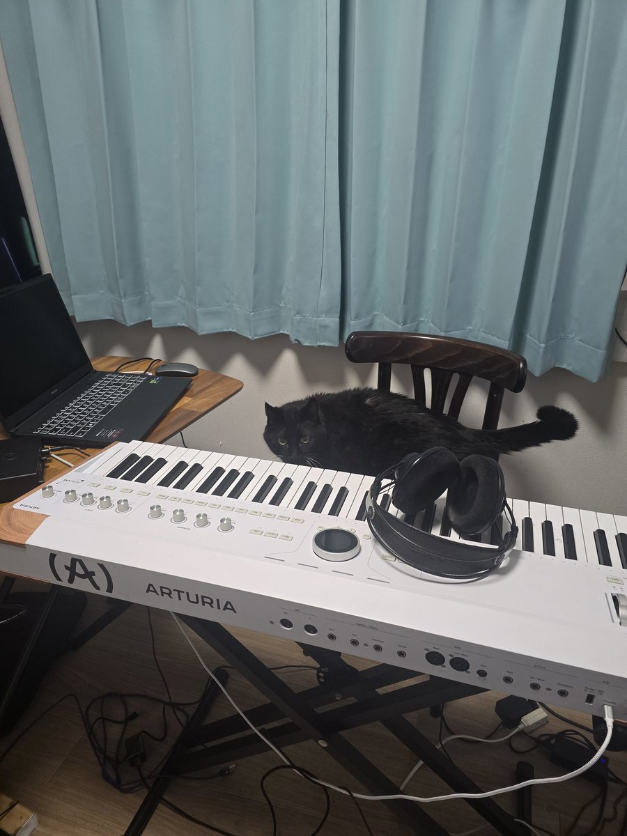 🎵おかんp🎹作曲家*藤田晴美🇯🇵HARUMI FUJITA tweet media