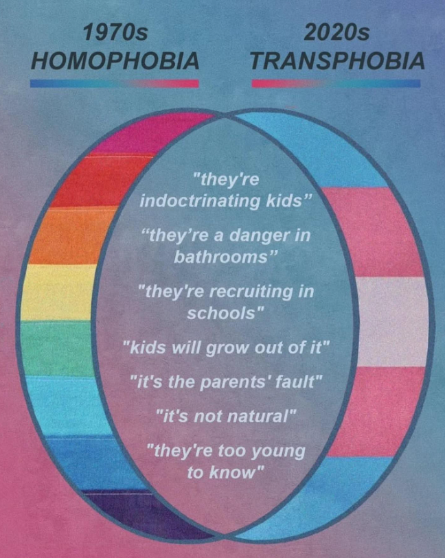 Holy Bullies tweet media