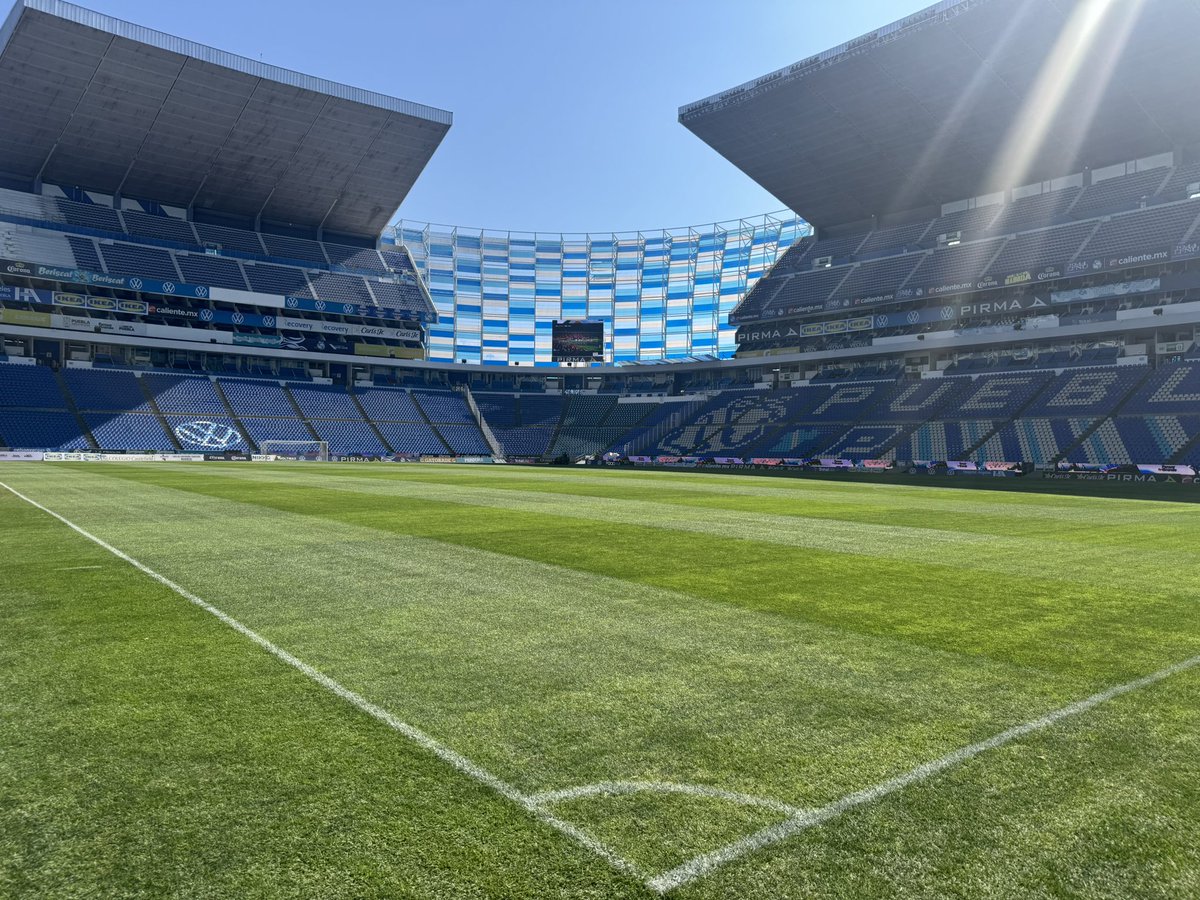 Jean Ferrari tweet media