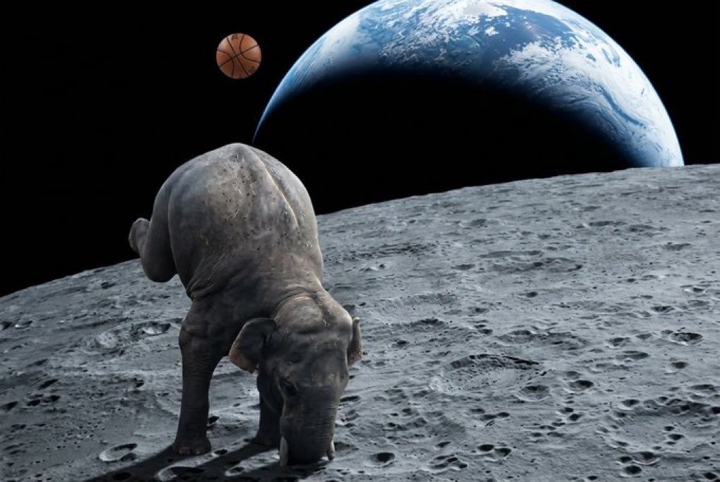 Hollyanne tweet media