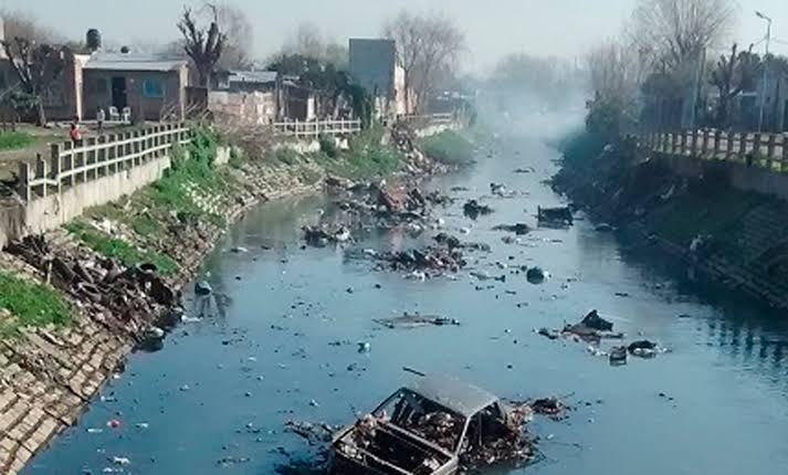 Niña bonita liberal tweet media