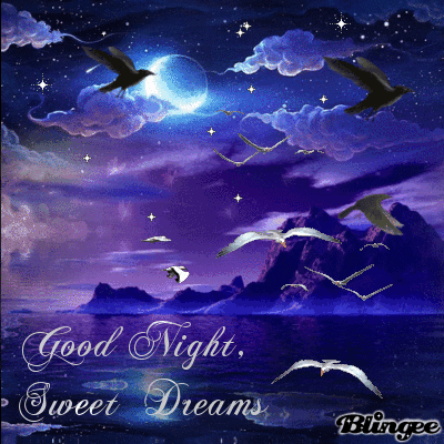 barbiesway's tweet image. 𝗚𝗼𝗼𝗱 𝗡𝗶𝗴𝗵𝘁🌛⭐️May you be wrapped in comfort, with peace in your mind and God's grace protecting you.
May calm settle over your heart, restful #sleep find you, and may you be blessed with the sweetest #dreams.
#GoodNightX