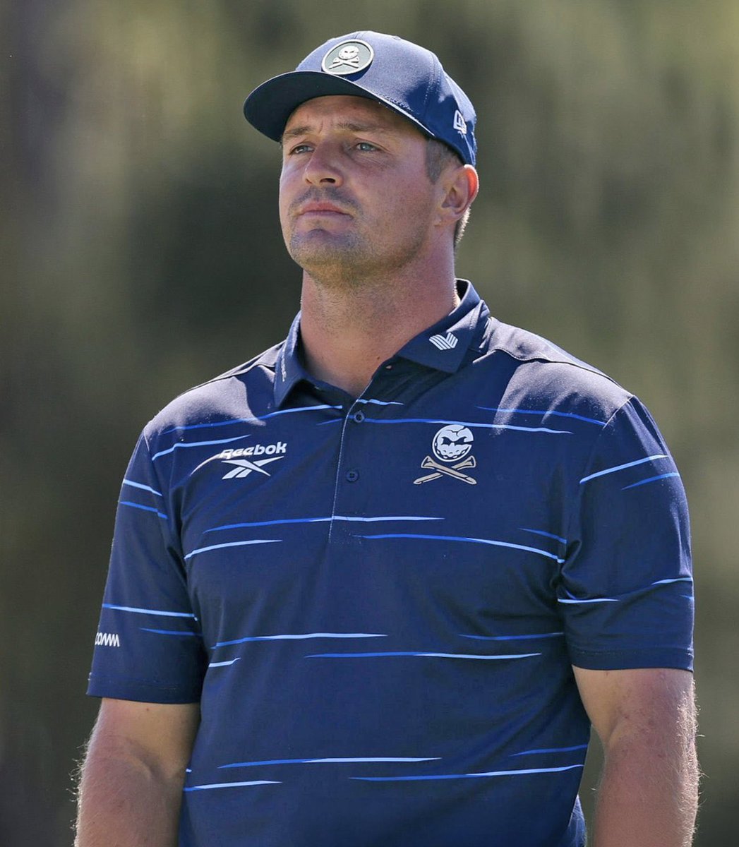 GoGoGoldWin tweet media