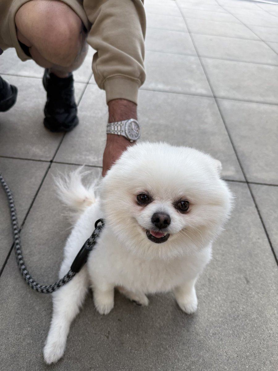 fity.eth tweet media