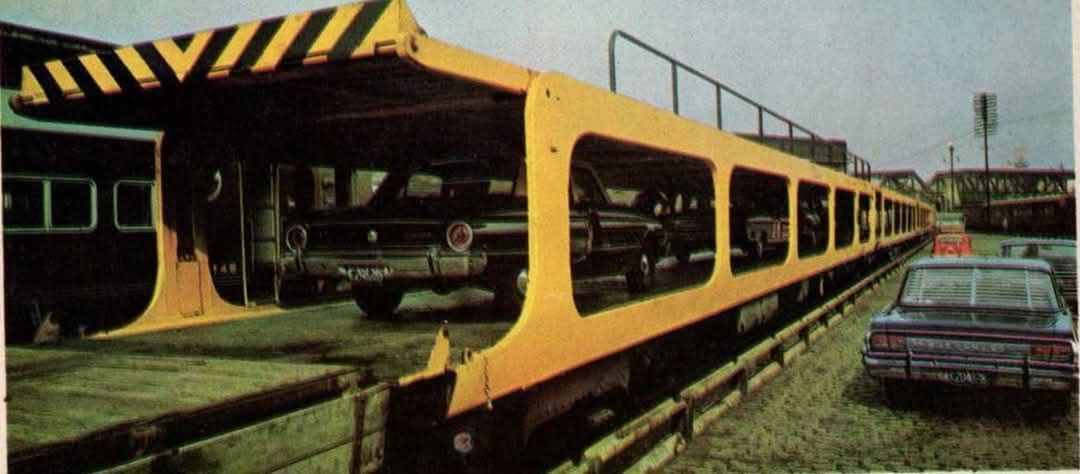 Bizcocho antiguo y rancio, muy rancio ✟🇦🇷🚂 tweet media