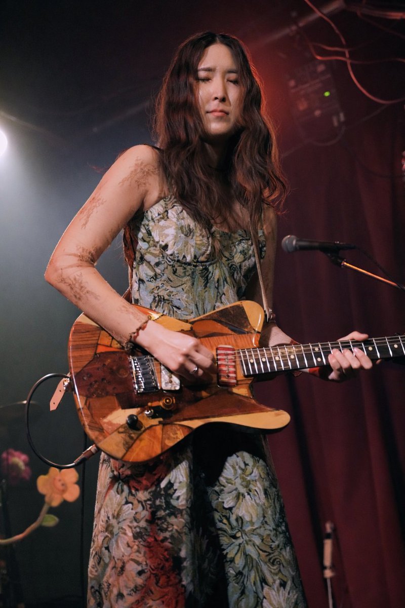 Little Turtle tweet media