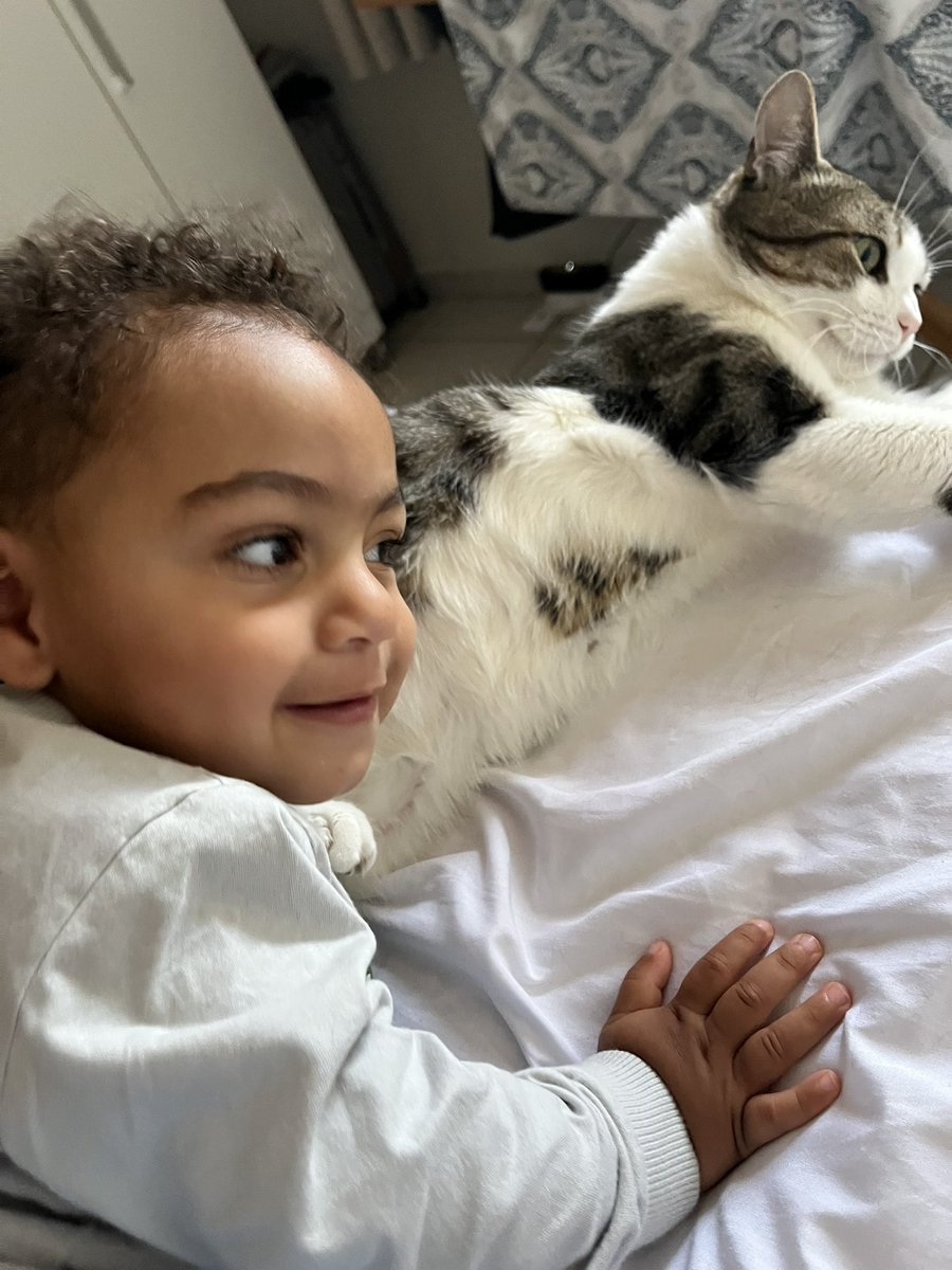 l o l o 🧙‍♀️ tweet media