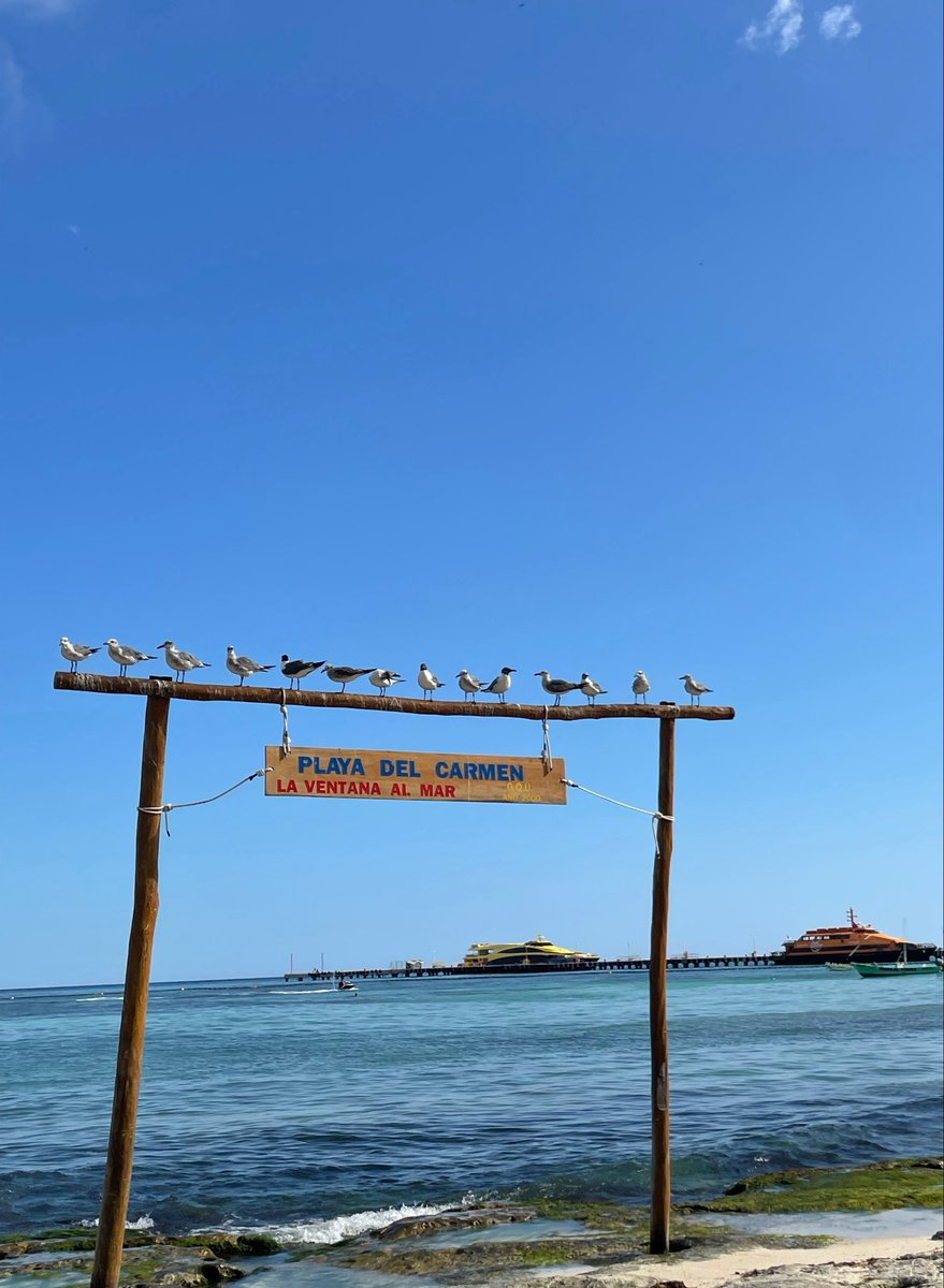 hanny_wav's tweet photo. 🏖️☀️ https://t.co/8Bv6VtEYdm