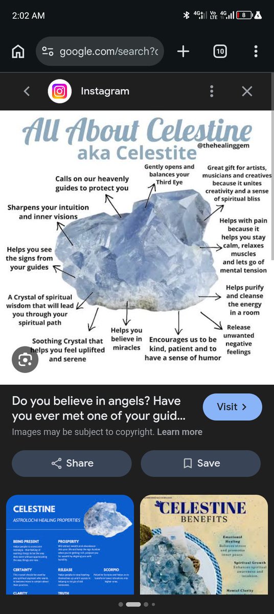 Highly Celestine tweet media