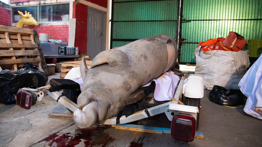 Coatza Digital tweet media