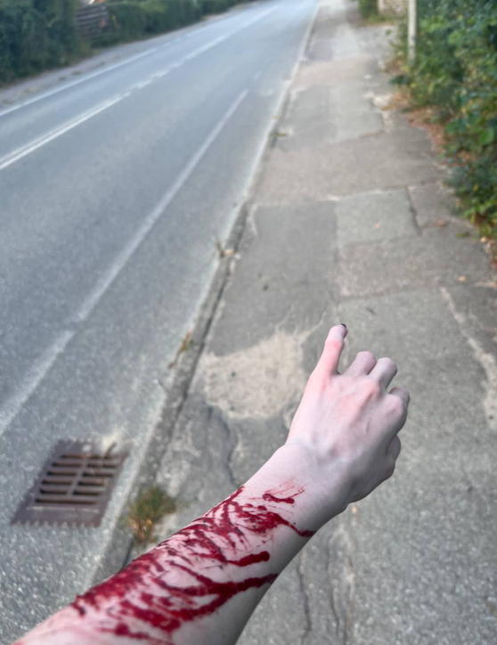 𓆩♱ badger .ᐟ ҂🩸 tweet media