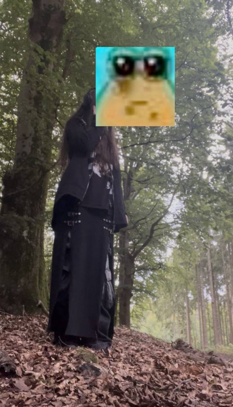 𓆩♱ badger .ᐟ ҂🩸 tweet media