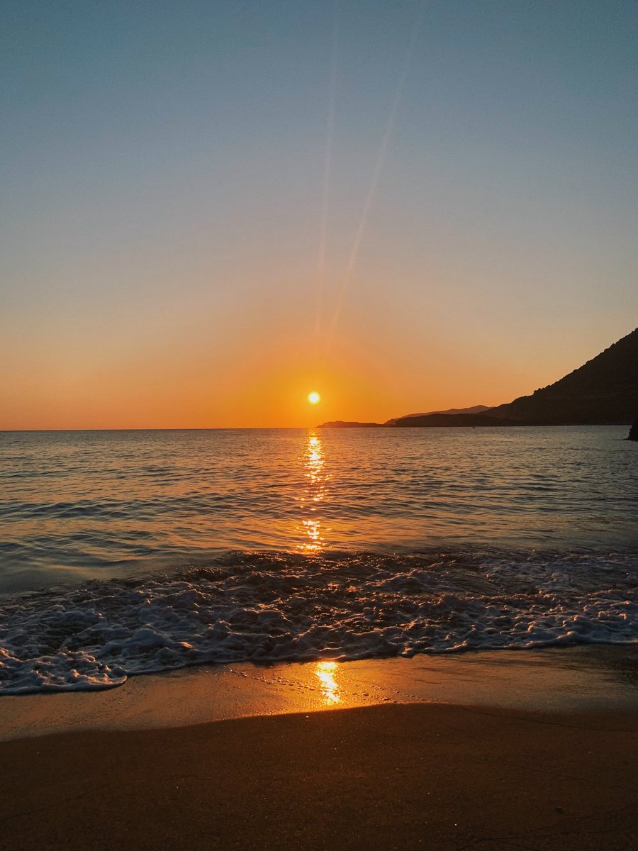 Aesthetics (@aestheticspost_) on Twitter photo 