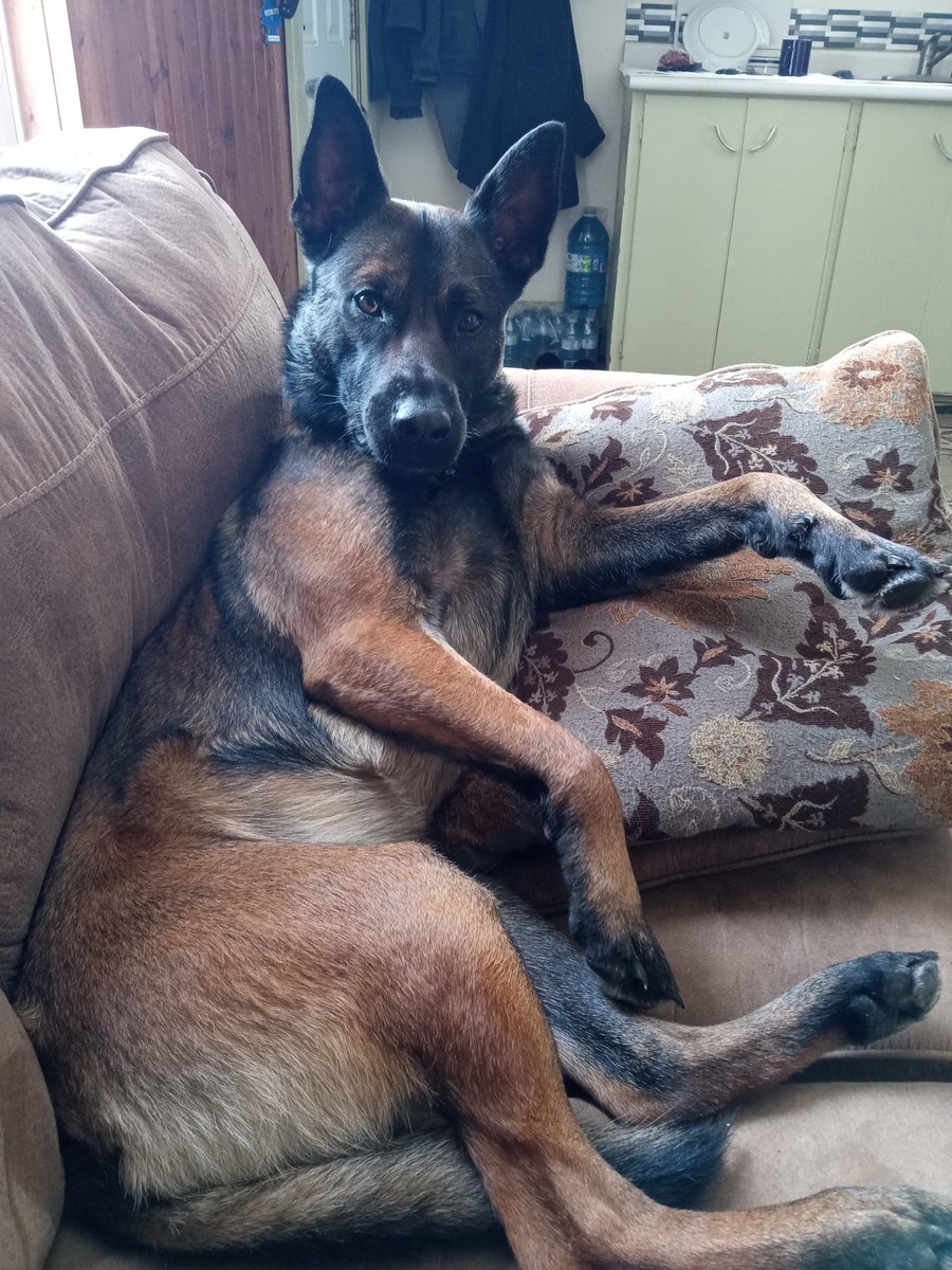 John Lee Pettimore tweet media