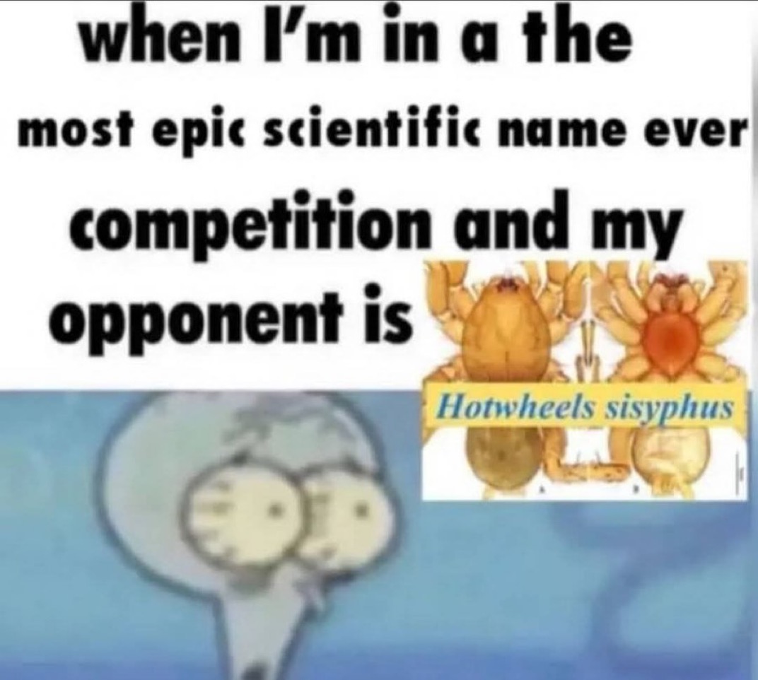 ShitpostGateway tweet media