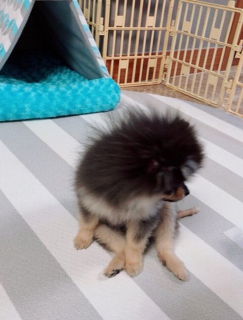 TAE GUIDE tweet media