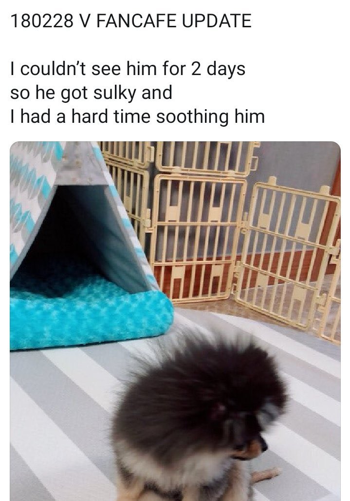 TAE GUIDE tweet media