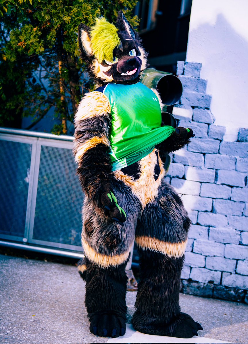 🐱💚🏀
#FursuitFriday
#バスケ好き