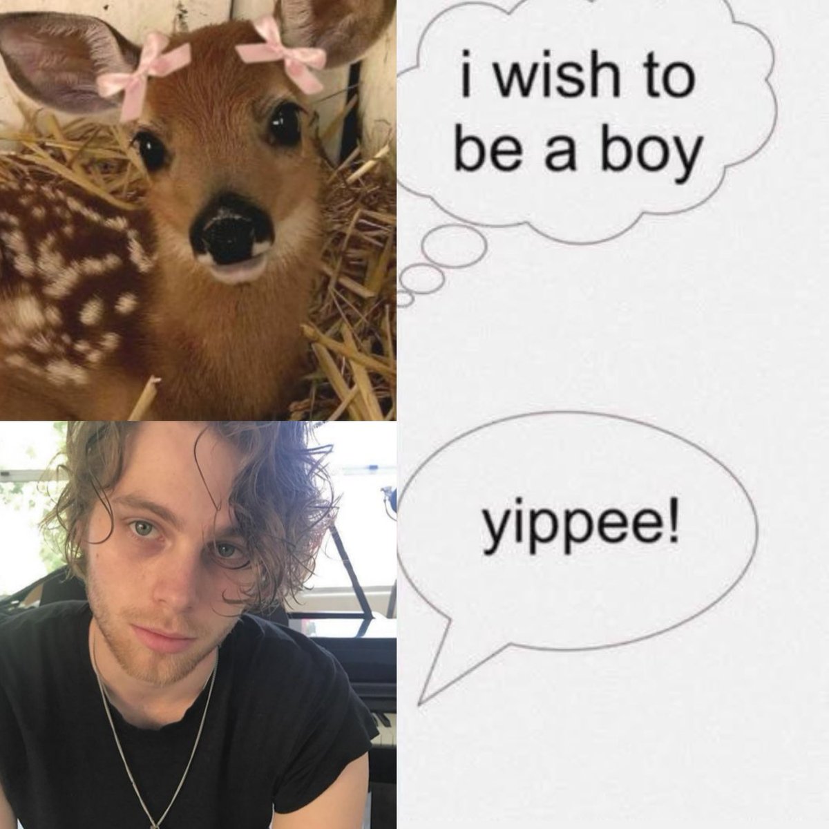 CALUM AEGYO UPDATES tweet media