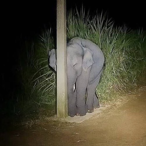 muji ۶ৎ tweet media