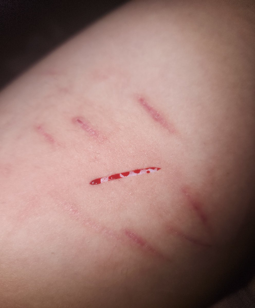 ⋆｡˚꒰ঌbella໒꒱˚｡⋆ tweet media