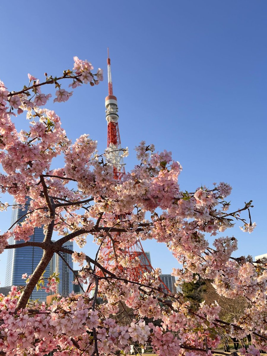 しるこサンド tweet media